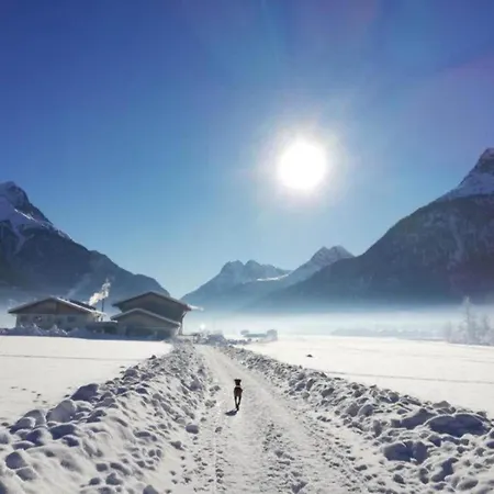 Apartment In Near Fuegen
