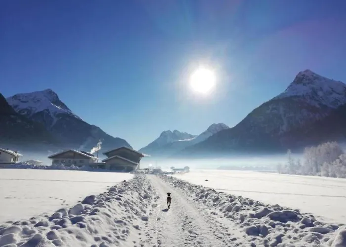 Apartment In Near Fuegen