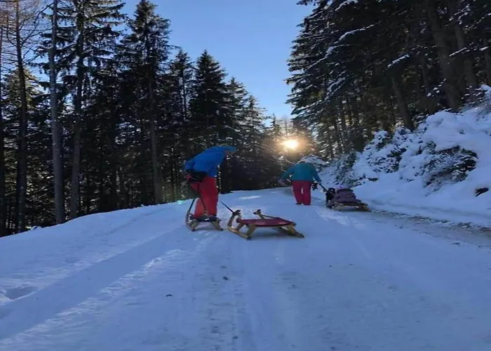Apartment In Near Fuegen