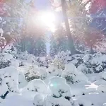 In Near Фюген
